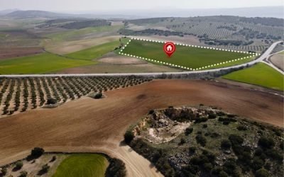 Aerial Mapping and Land Surveys img